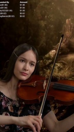 Secret Garden - Song from a Secret Garden (Кавер на скрипке) | #maria_moon on #Twitch