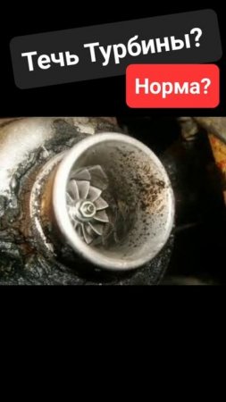 Skoda A8: Течь Турбины...Норма? 🧐 (2024)