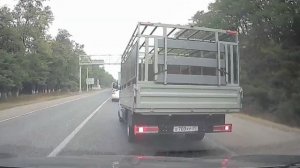 Video.Guru_20241123_001422188.mp4