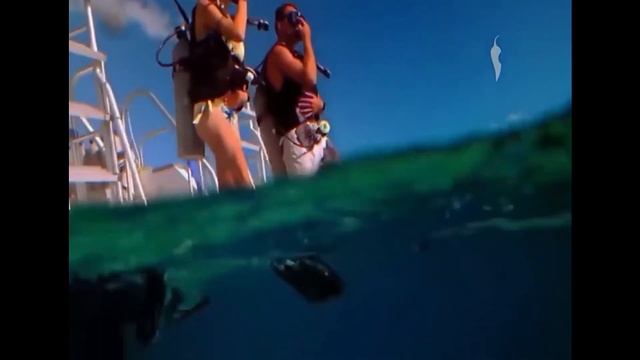 Рестарт эфира (Перец International, 16.04.2025) смотреть онлайн