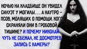 Истории из жизни. "Последний приют". Аудио рассказы