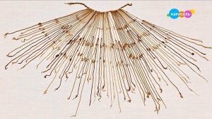 Навигатор. Новости (от 13.03.2025)