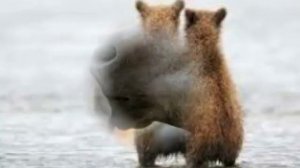 Танцуй со мной до конца любви  (Леонард Коэн)