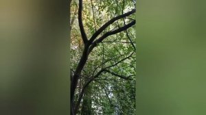 Возраст,ценности и витамин Д