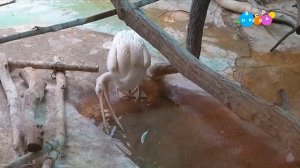 Навигатор. Новости (от 24.03.2025)