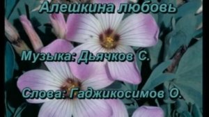 Обзор на DVD-диск "Всё русское караоке. Сборник 1"