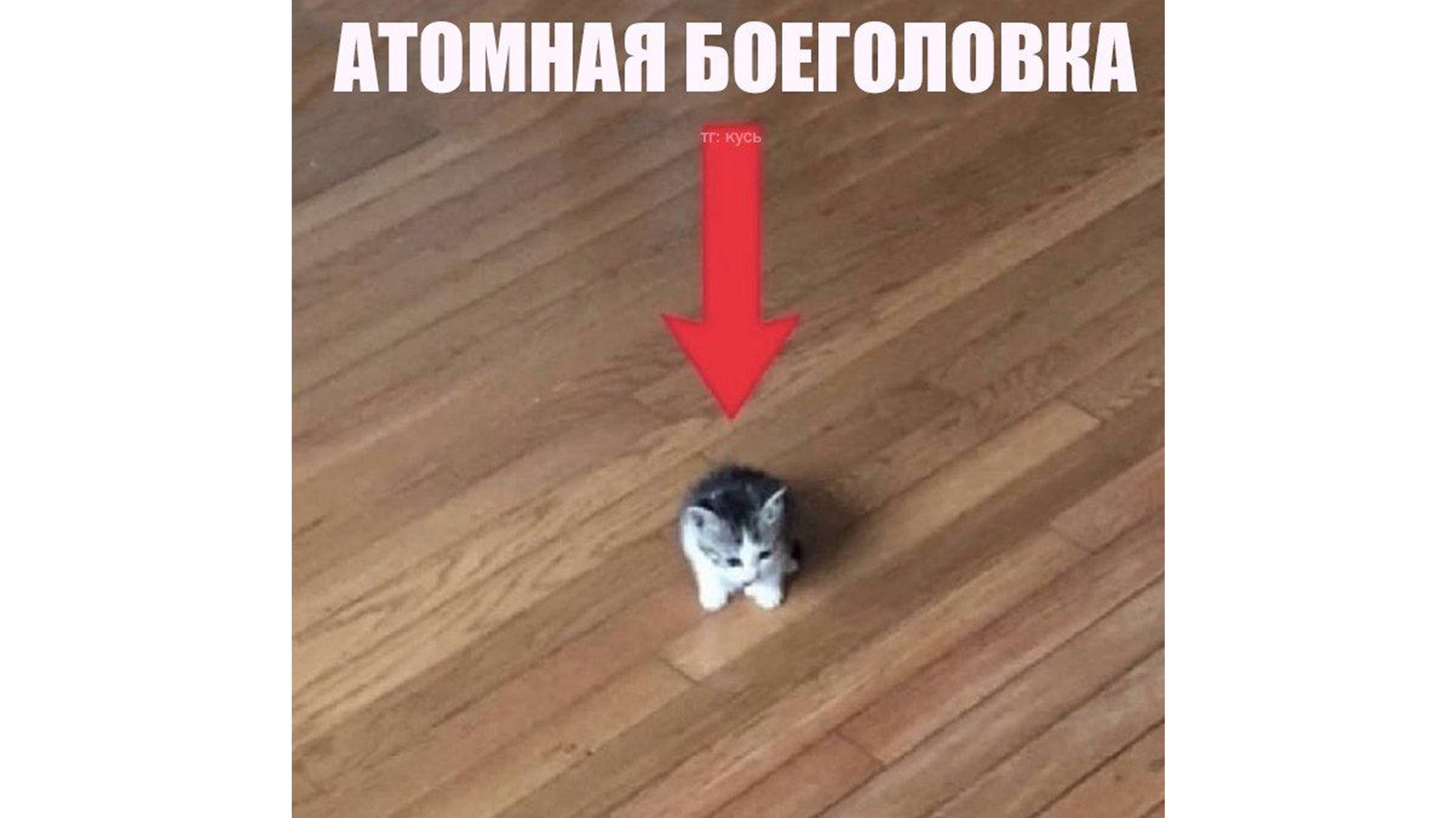 13.05.2025 Практическая работа №2