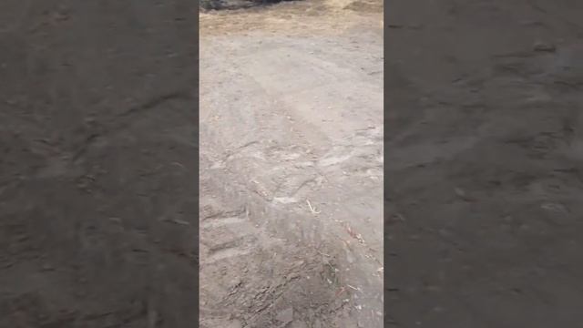 15 октября Фундук.ежевика. смотреть онлайн