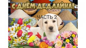 20.05.2025 Практическая работа №2 Часть 2