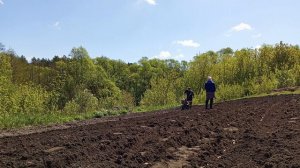 Посадка картошки , нарезаю борозды мотоблоком!!!