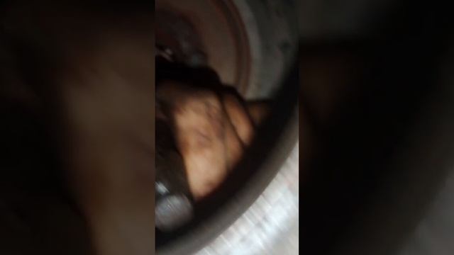 Рассыпался подшипник маховика коленвала.