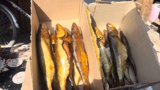 🔥BAKU-ŞABRAN BAZARI🔥РЫБА,АЙВА,СЫРЫ.ЦЕНЫ ?#azerbaycan#baku#еда#обзор# смотреть онлайн