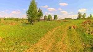 ЗАЙЦЫ ГОНЯЮТ ПО ПОЛЯМ.ПАРАМИ.