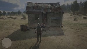 Red Dead Redemption 2➤Прохождение #38➤Сэди Адлер