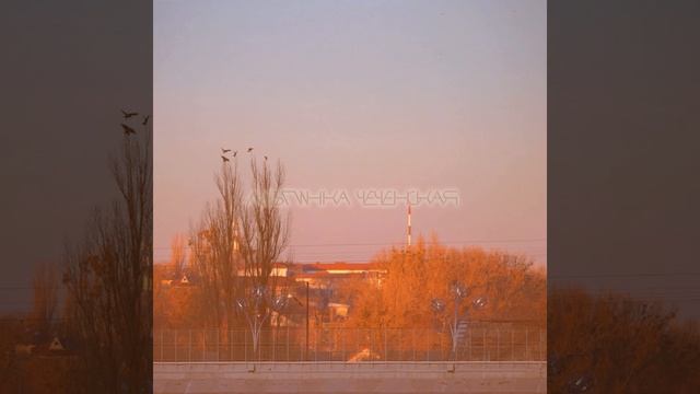 Лезгинка чеченская смотреть онлайн