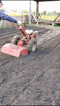 Обрабатываем почву с мотоблоком Агро.