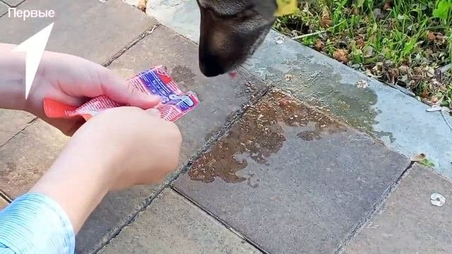 #ЗаметкиЮннатов