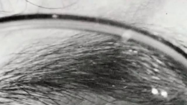 РЖБ - ПЛАСТИНКА (СЕМПЛЕР) смотреть онлайн