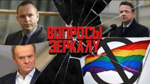 Вопросы Зеркалу: Польша в шоке от кандидатов, когда второй тур и как остановить трэш?