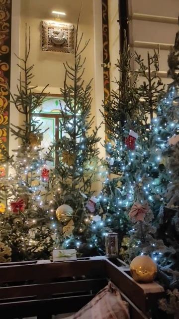 Предновогодний Новосибирск. В Сандунах Сибирь жарко в смотреть онлайн