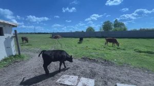 Все получилось! Наводим порядок перед домом и на участке. Отсыпаем территорию. Жизнь простых людей.