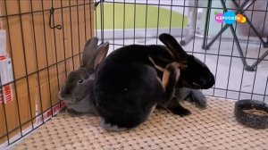 Навигатор. Новости (от 19.03.2025)