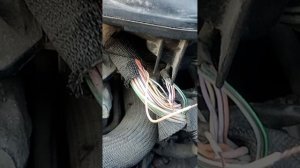 @ Опель виваро 2.0 решение проблемы с электрической час?