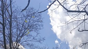 Кисловодск,отличная,солнечная погода.Подъём на горку со стороны улицы 40 лет Октября
