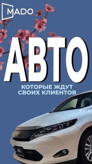 🎥 Краткий видеообзор от Софы: машины, которые уже едут к своим владельцам!