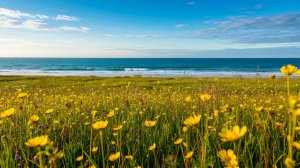 Песня 2025г. Александр Блок — Я стремлюсь к роскошной воле