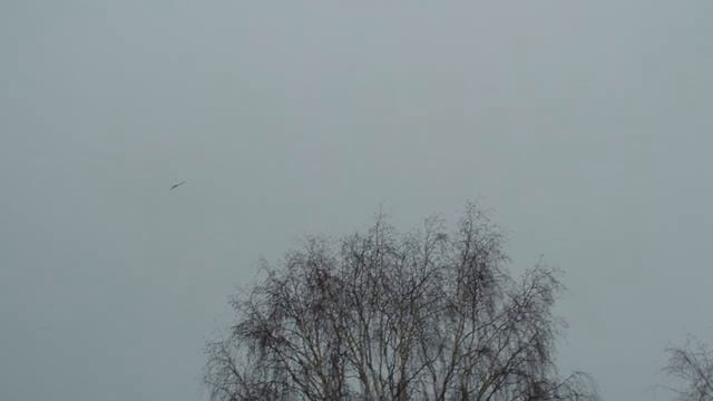 Летающее крыло "Вжик" смотреть онлайн