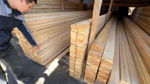 АНДИЖОН ТАХТА БОЗОРИ НАРХЛАРИ 2024 ЕНГ АРЗОНЧИ АКАНИ ТО?