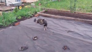 Обычные будни. Поездка в Лемана Про.