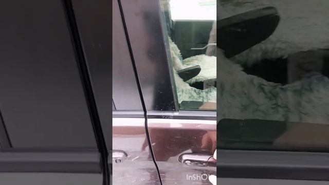 Сузуки солио 2016 года, эксплуатация в России с 2020 года. ? смотреть онлайн