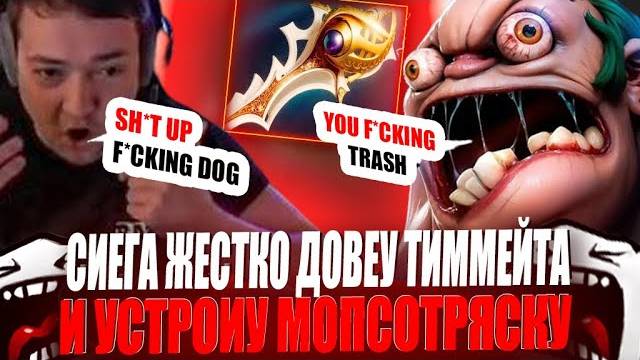 ЗВОЙ СИЕГА ДОВЕУ ТИММЕЙТА И УСТРОИУ ЖЕСТКУЮ МОПСОТРЯСКУ!#головач