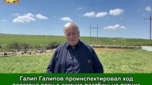 Галип Галипов проинспектировал ход перегона овец с зимних пастбищ на летние