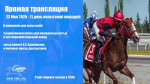 Прямая трансляция 23 Мая 2025 - 11 беговой день для лошадей рысистых пород