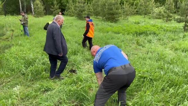 Аллея Трудовой Доблести
