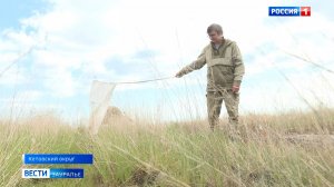 Более 2 тысяч зауральцев пострадали от укусов клещей в этом сезоне