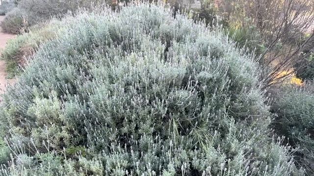 Похоронив мужа-тирана, Вика сбежала с сыном в деревню. смотреть онлайн