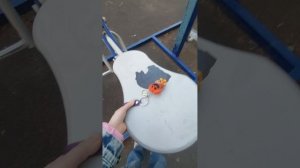 приключения на спортивной площадке