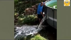 Всячинки