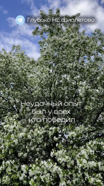 ✅ Блог нейрокоуча и расстановщика #жизнь #путь #осознанность #личностныйрост #психология #коучинг смотреть онлайн