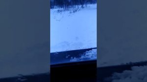 газ 66 или уаз
