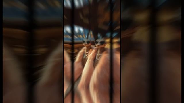 Видео без названия — сделано в Clipchamp (3)
