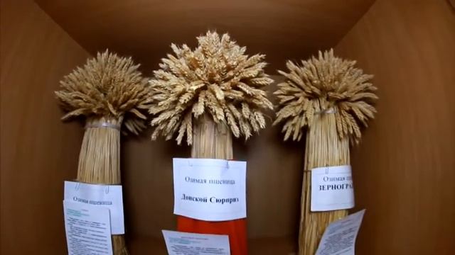 Агротехнологический факультет ВолГАУ смотреть онлайн