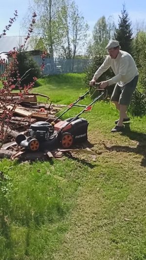 Самодельная мульча из коры
