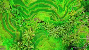 #Коран#Худ#СамыеКрасивыеМеста#Relaxation##Islam#Quran#Hood#Minshawiy 4кВидео#3часть#