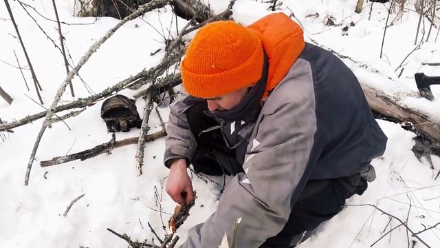 Ходовая охота с западно сибирскими лайками 👍