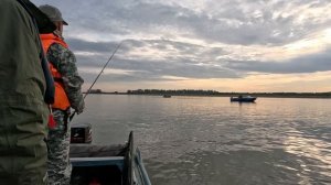 Учимся читать реку. Облов подкосины . Гайдинг